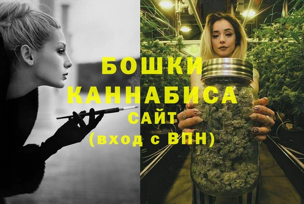 ПСИЛОЦИБИНОВЫЕ ГРИБЫ Белокуриха