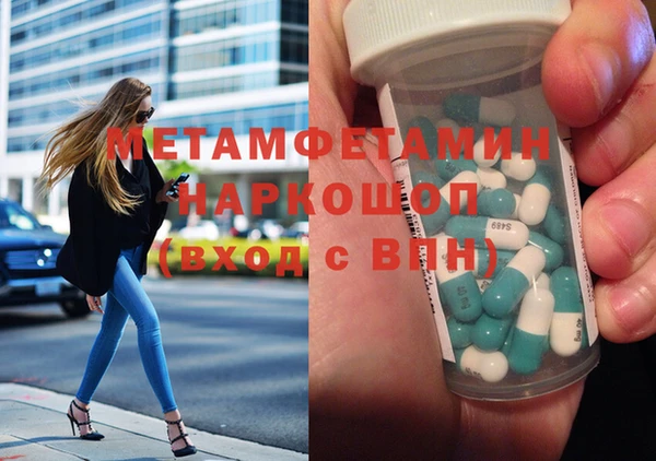 прущие грибы Снежногорск