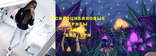 ПСИЛОЦИБИНОВЫЕ ГРИБЫ Белокуриха
