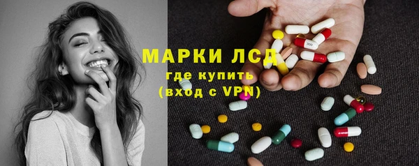 прущие грибы Слюдянка