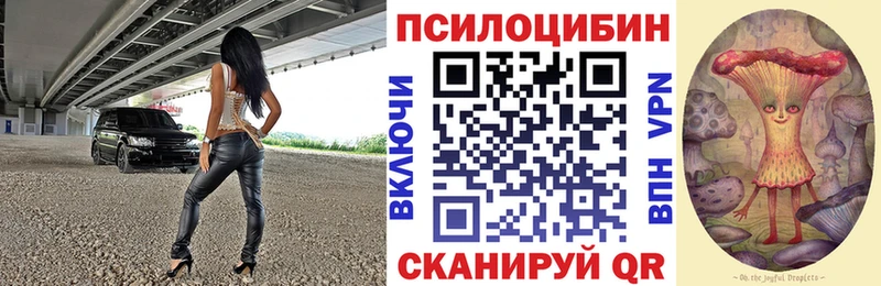 Псилоцибиновые грибы Magic Shrooms  где купить наркотик  Будённовск 